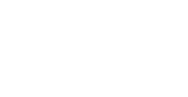 Antin logo