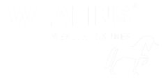 Wealins logo